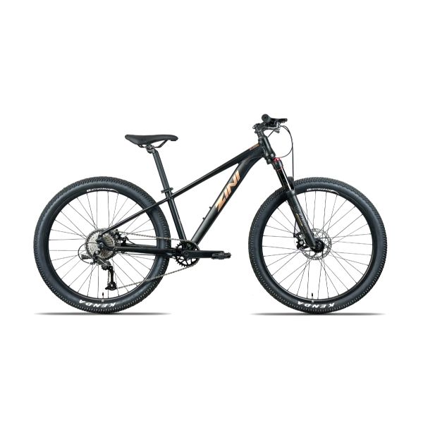 2024 Zini Z26 Disc - Steam Punk/Black
