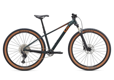 Giant Bikes • D'Ville Cyclery